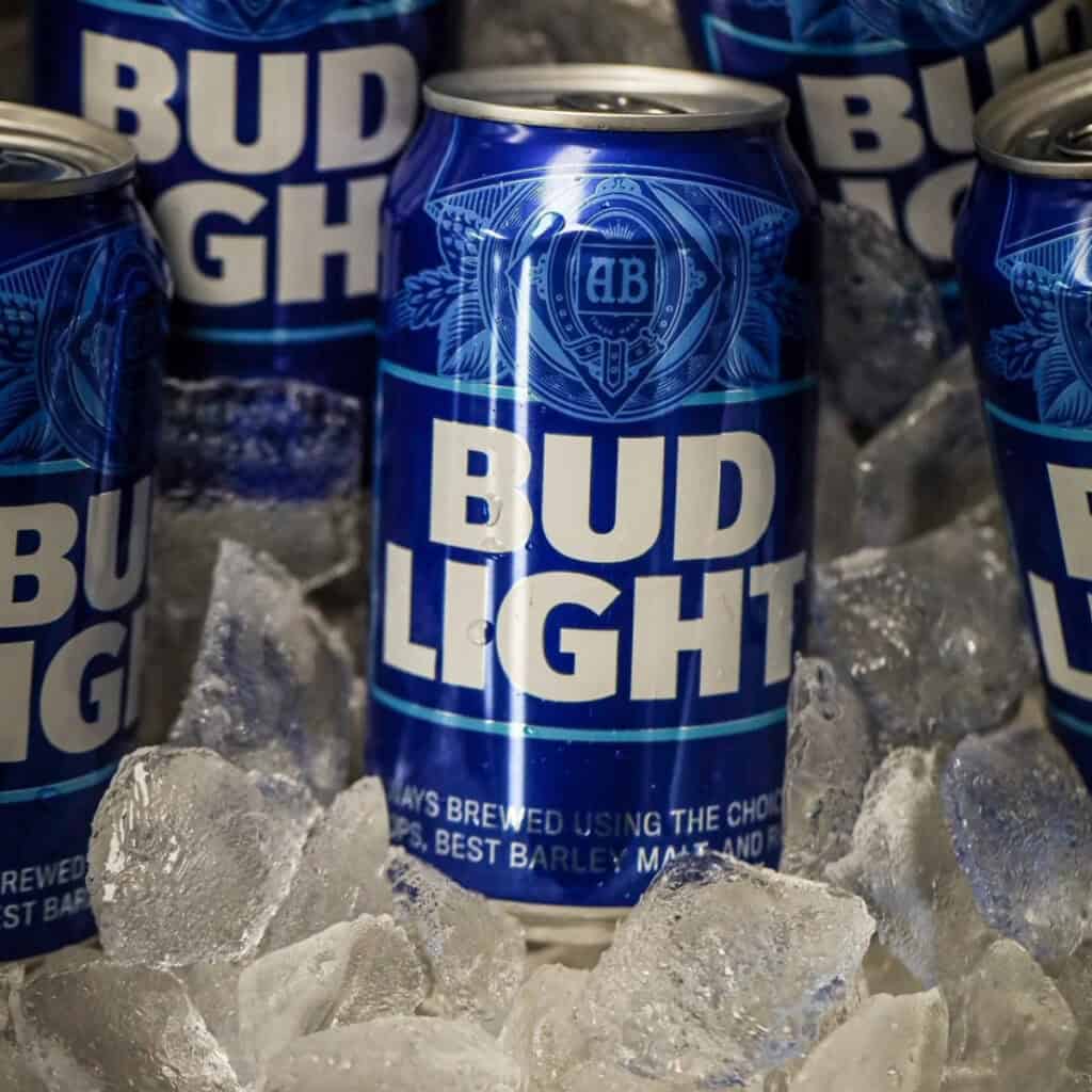 Bud Light portfolio image